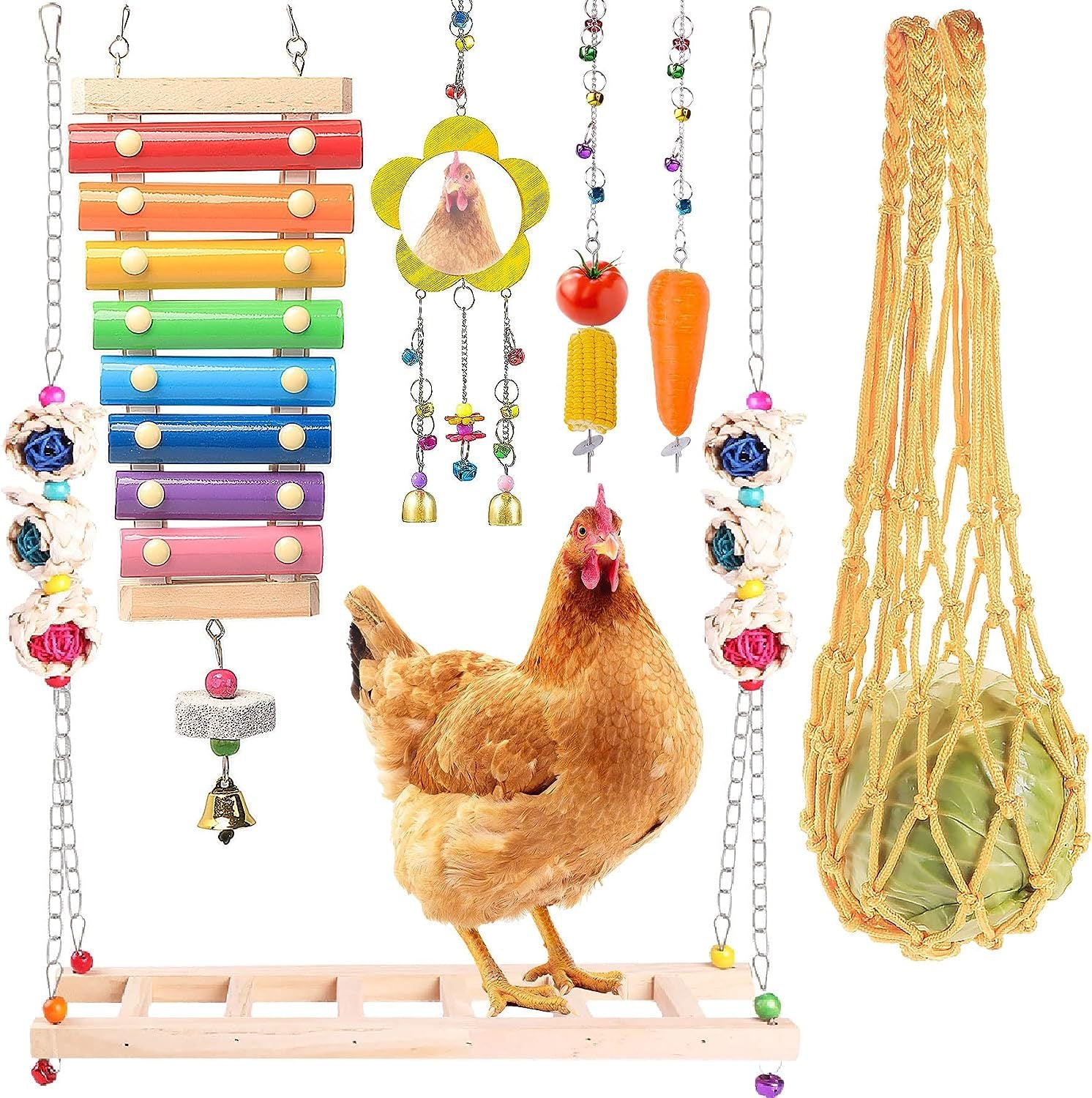 Assorted chicken toys including a xylophone, hanging beads, and a net bag on a white background.