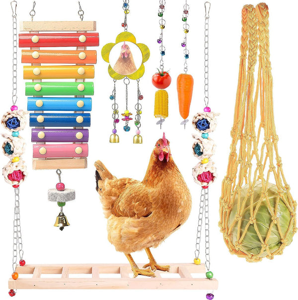 Assorted chicken toys including a xylophone, hanging beads, and a net bag on a white background.