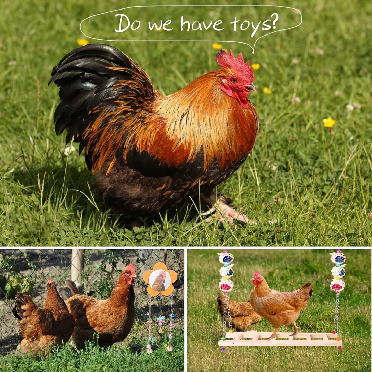 6 Piece Chicken Toy Set