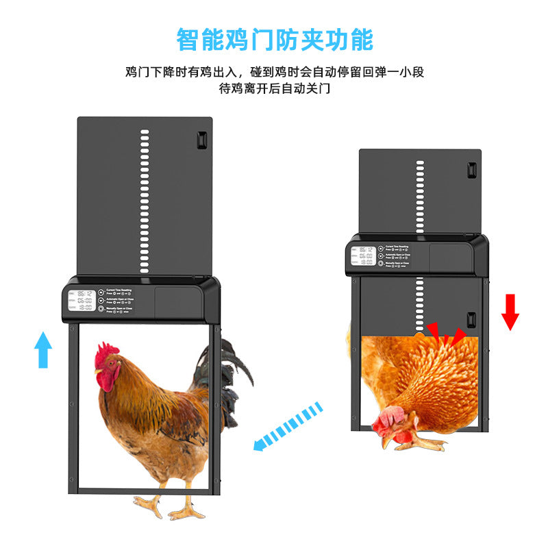 Amazon Hot New Chicken House Door Automatic Timing Chicken House Door Long Endurance Aluminum Alloy Digital Display Pet Door by Sylva Supplies