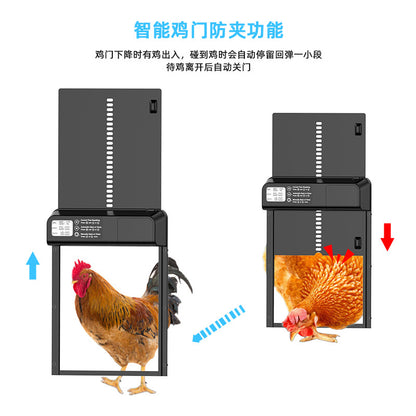 Amazon Hot New Chicken House Door Automatic Timing Chicken House Door Long Endurance Aluminum Alloy Digital Display Pet Door by Sylva Supplies