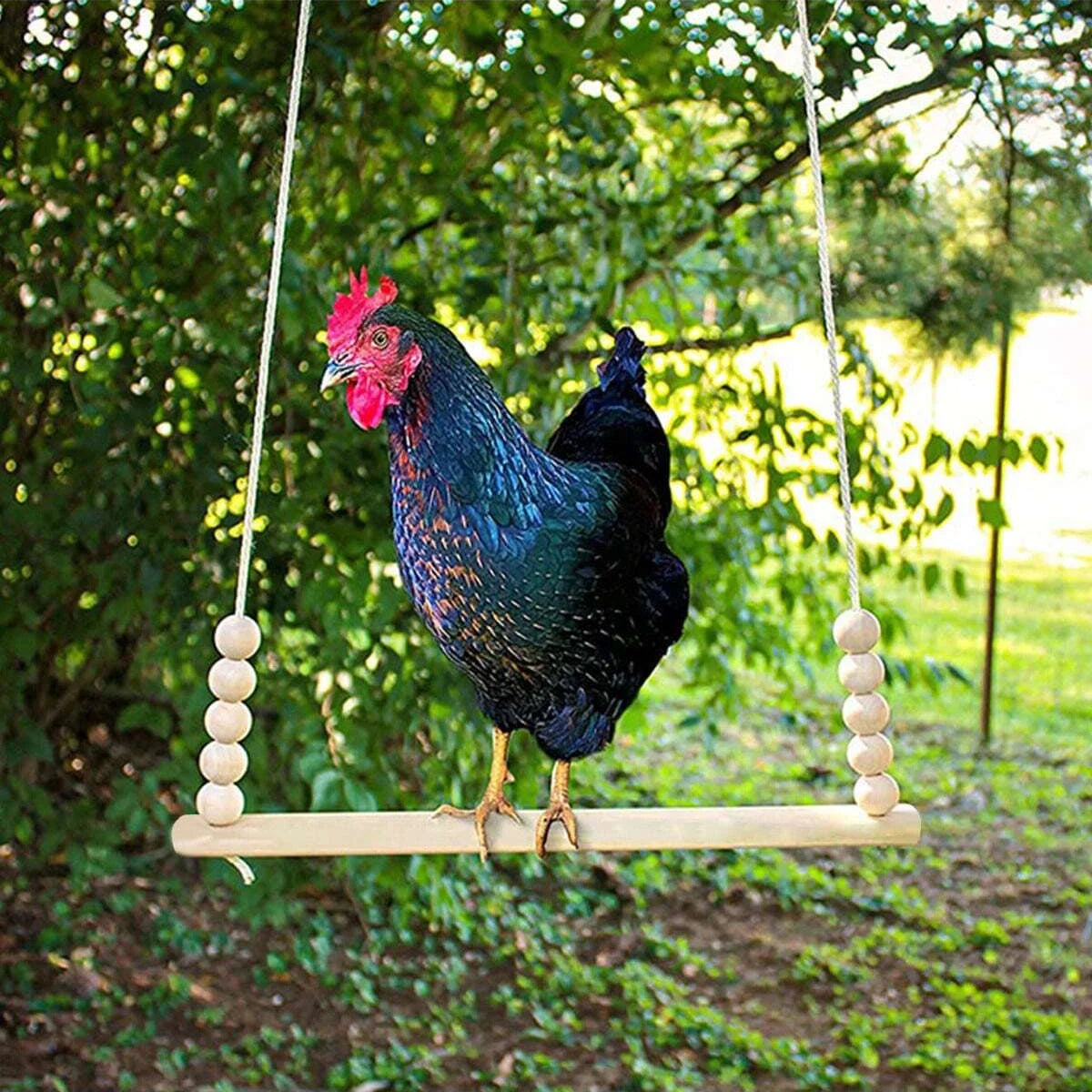 The Perch Bridge — A Wooden Swing for Curious Birds by Sylva Supplies