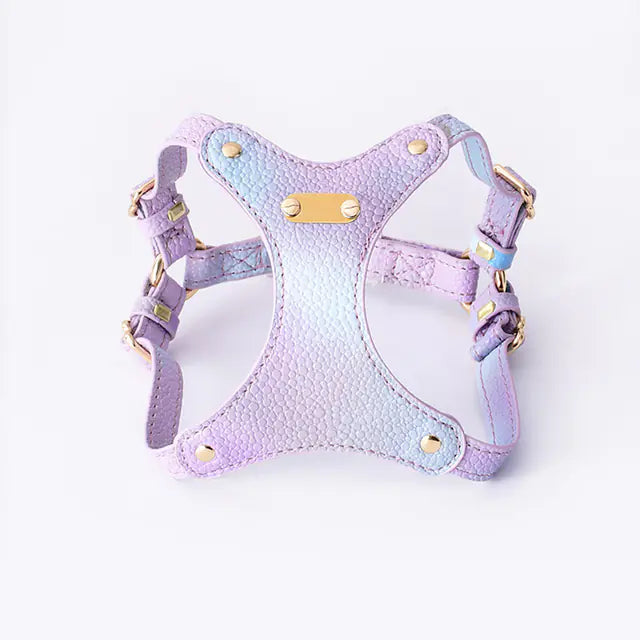Adjustable Waterproof Leather Pet Harness for Small Dogs or Cats